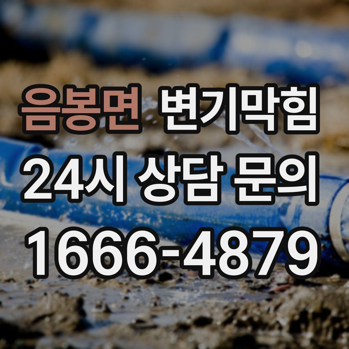 음봉면 변기막힘