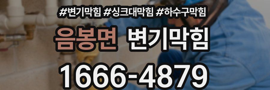 변기막힘
