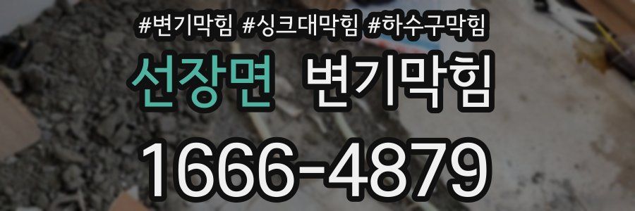 변기막힘
