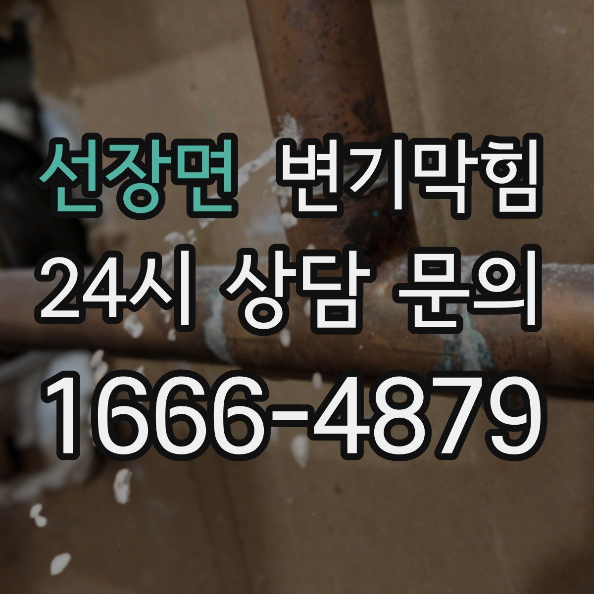 선장면 변기막힘