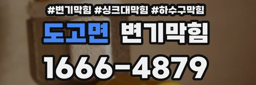 변기막힘
