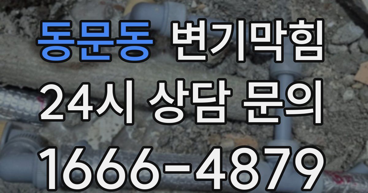 동문동 변기