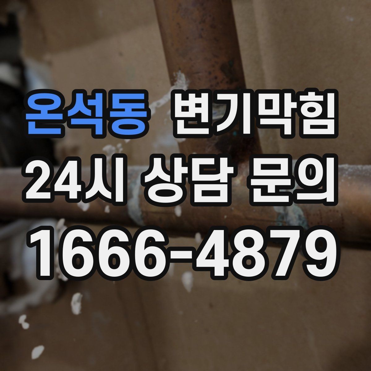 온석동 변기막힘 식당 변기뚫기 피크 타임 전 마감
