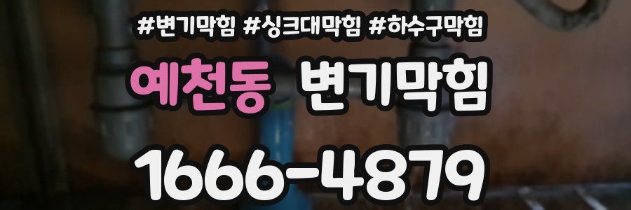 변기막힘