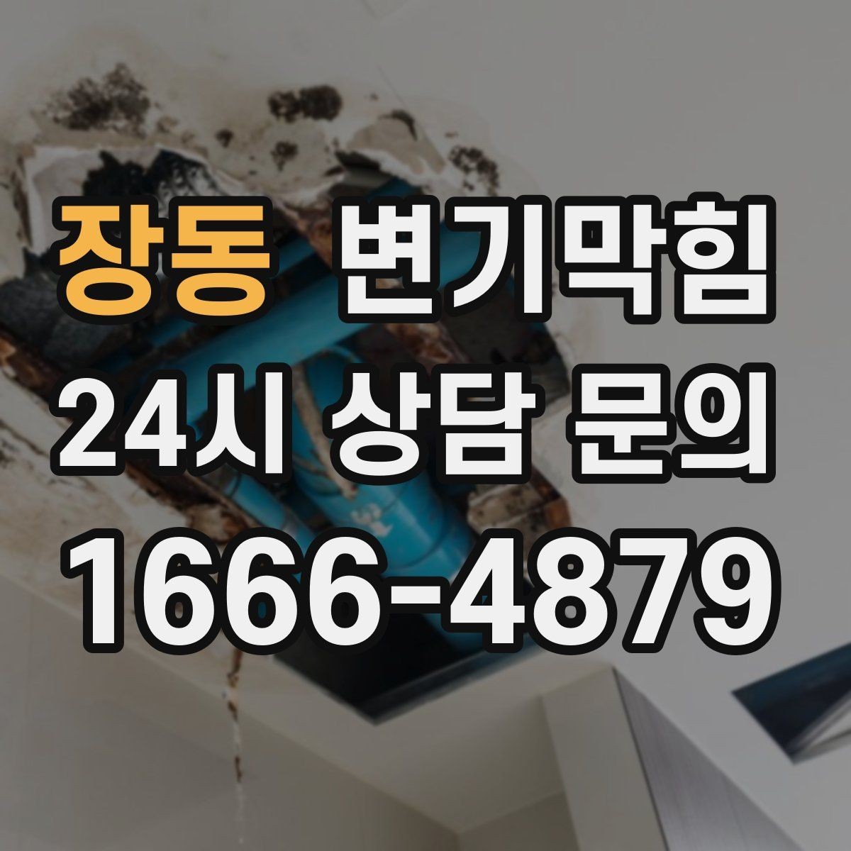 장동 변기막힘 변기막혔을때 플랜지 흔들림 의심 신호