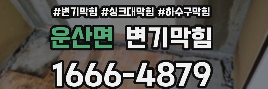 변기막힘