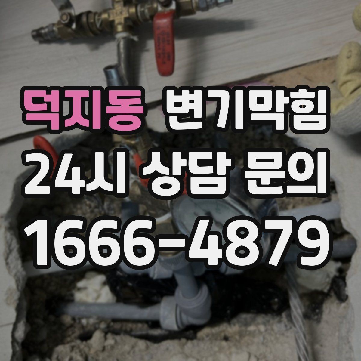 덕지동 변기막힘 원룸 화장실역류 내시경으로 병목 캡처