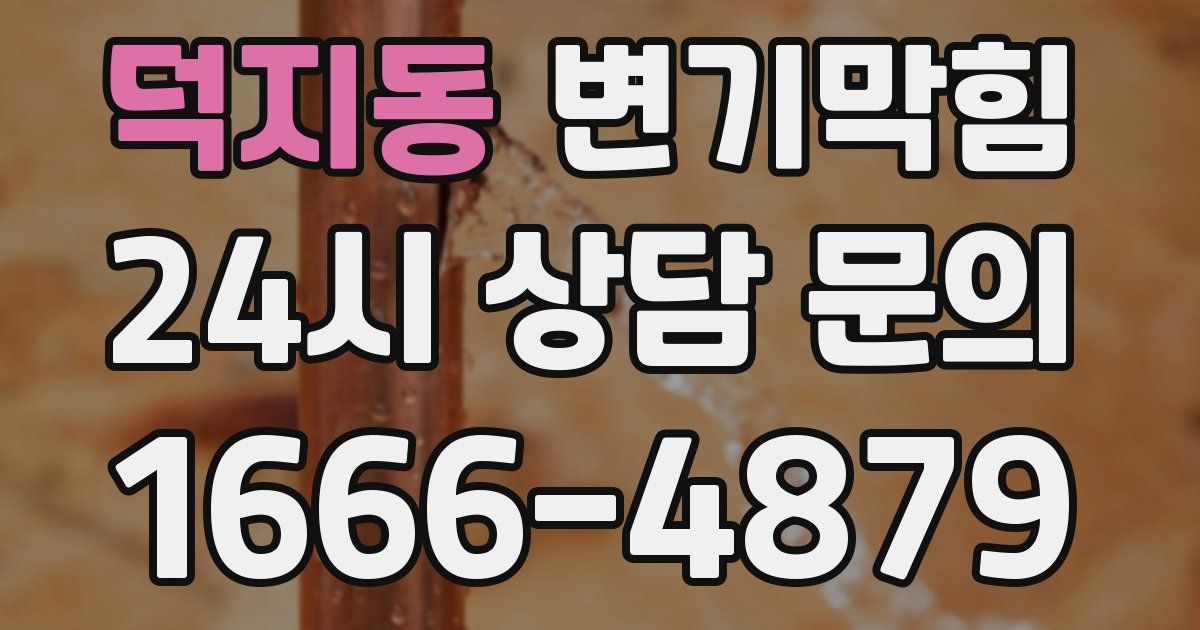덕지동 변기