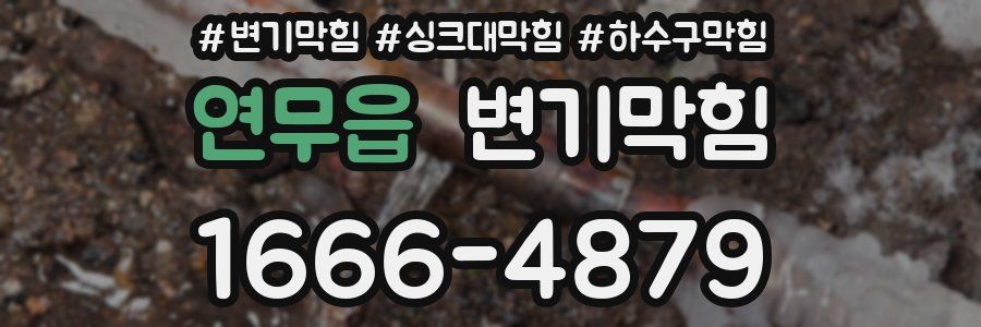 변기막힘