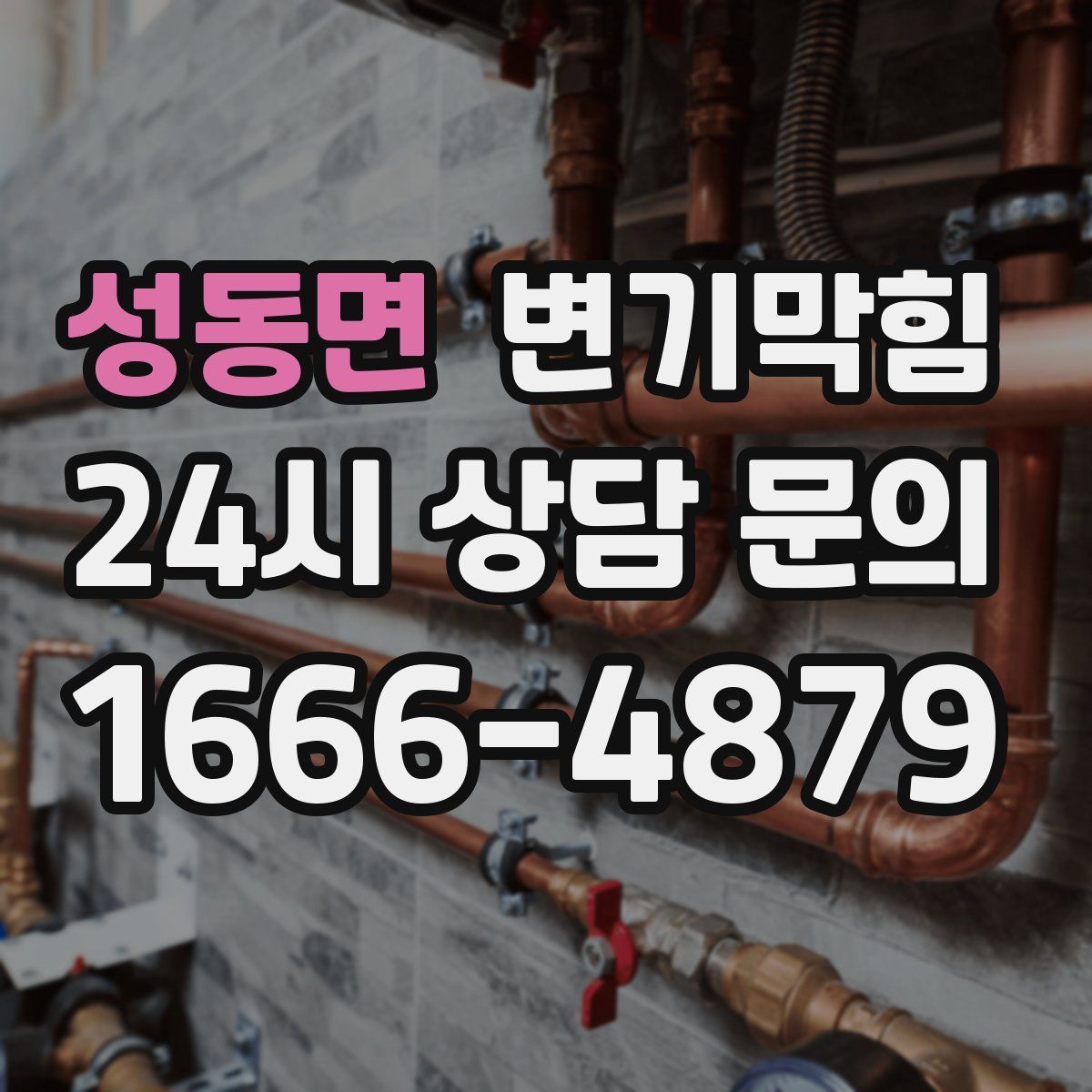 성동면 변기막힘