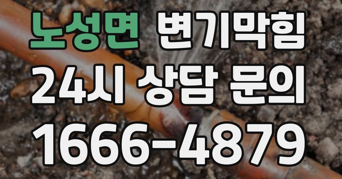 노성면 변기