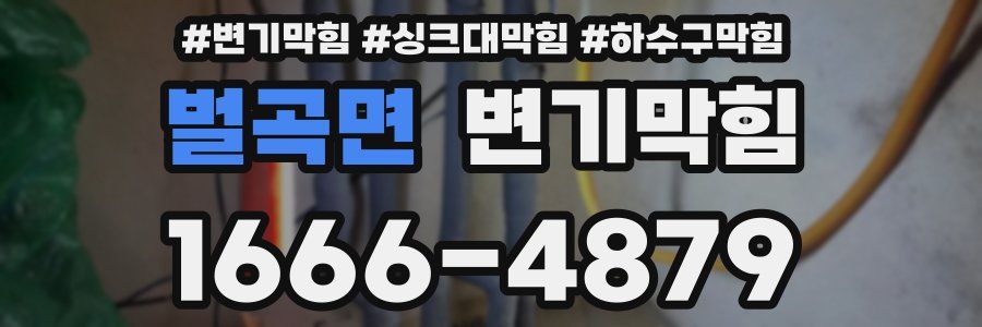 변기막힘