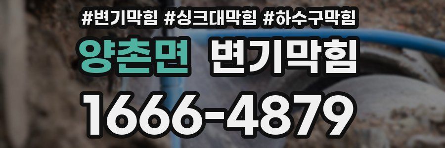 변기막힘