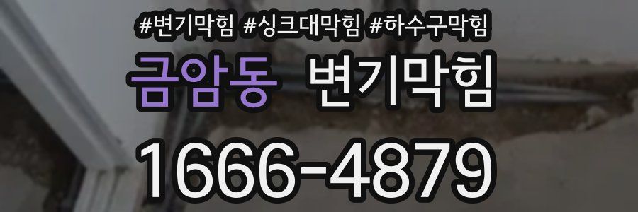 변기막힘