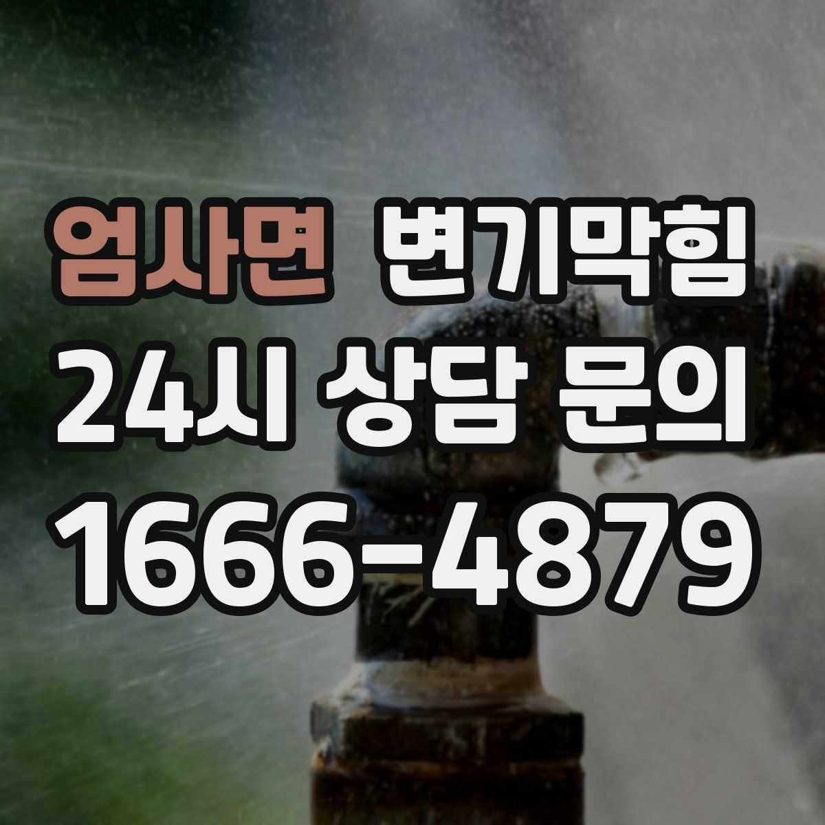 엄사면 변기막힘