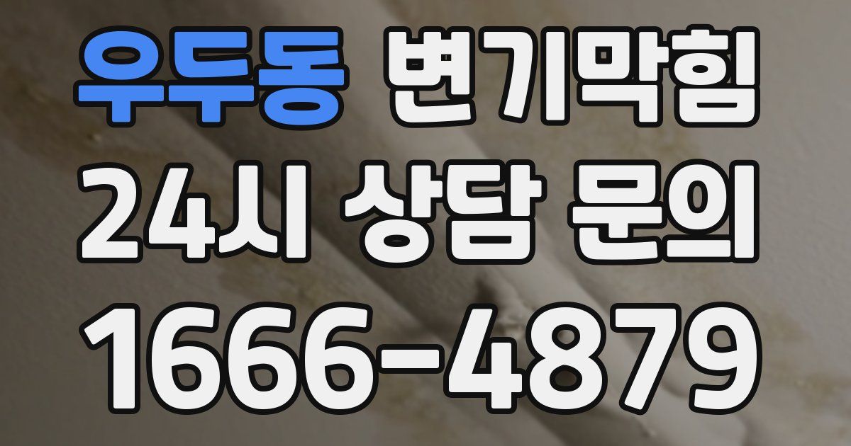 우두동 변기