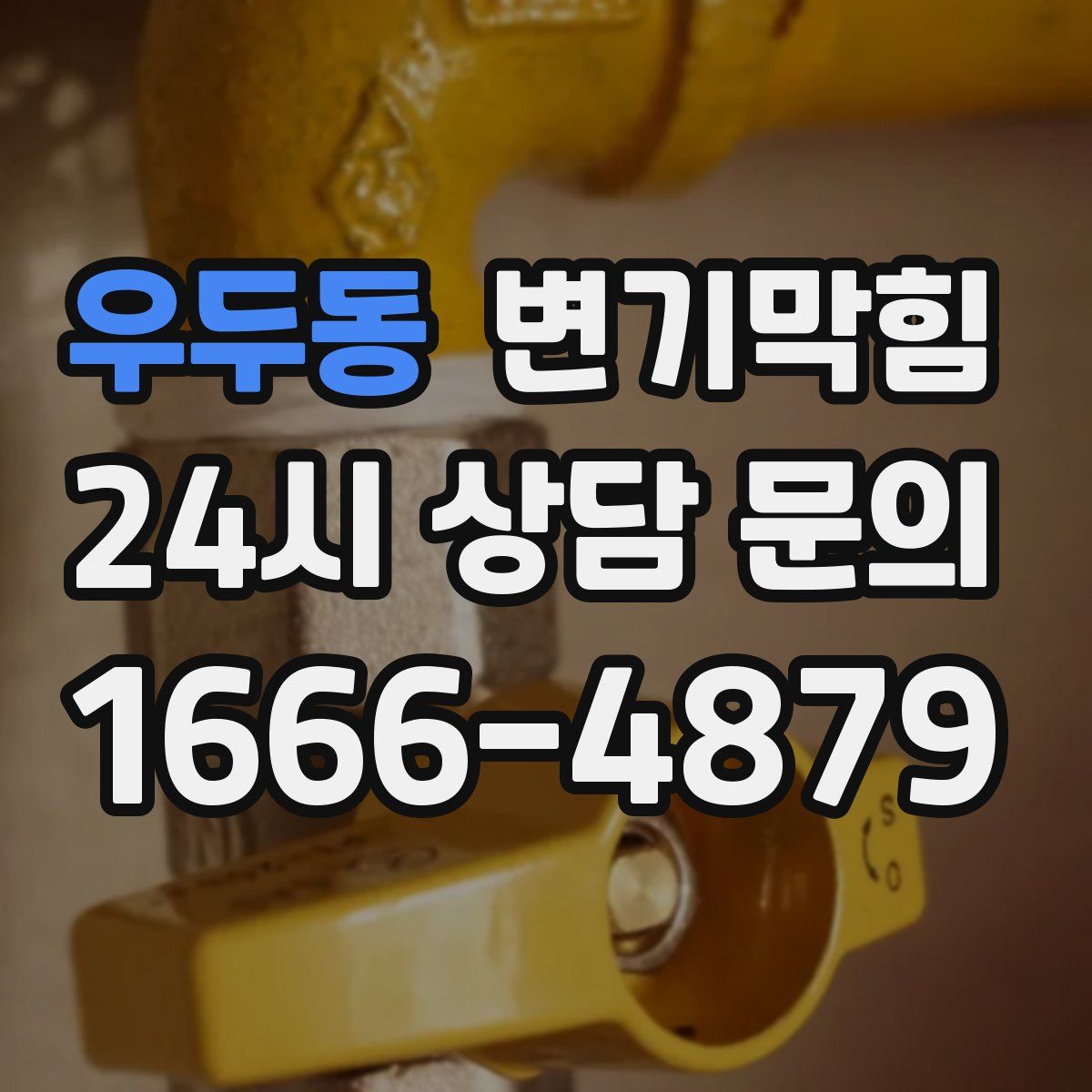 우두동 변기막힘
