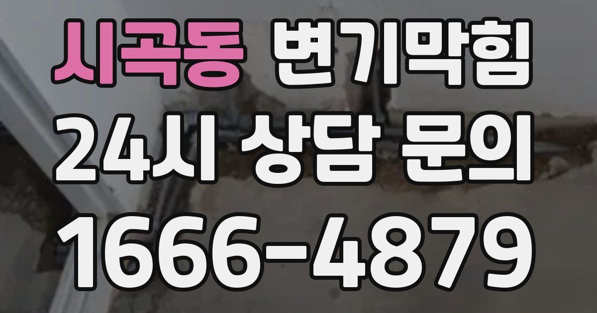 시곡동 변기