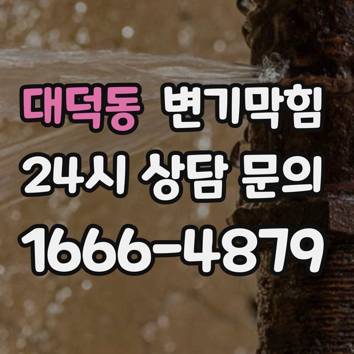 대덕동 변기막힘 원룸 화장실막힘 비데 간섭 즉시 조정