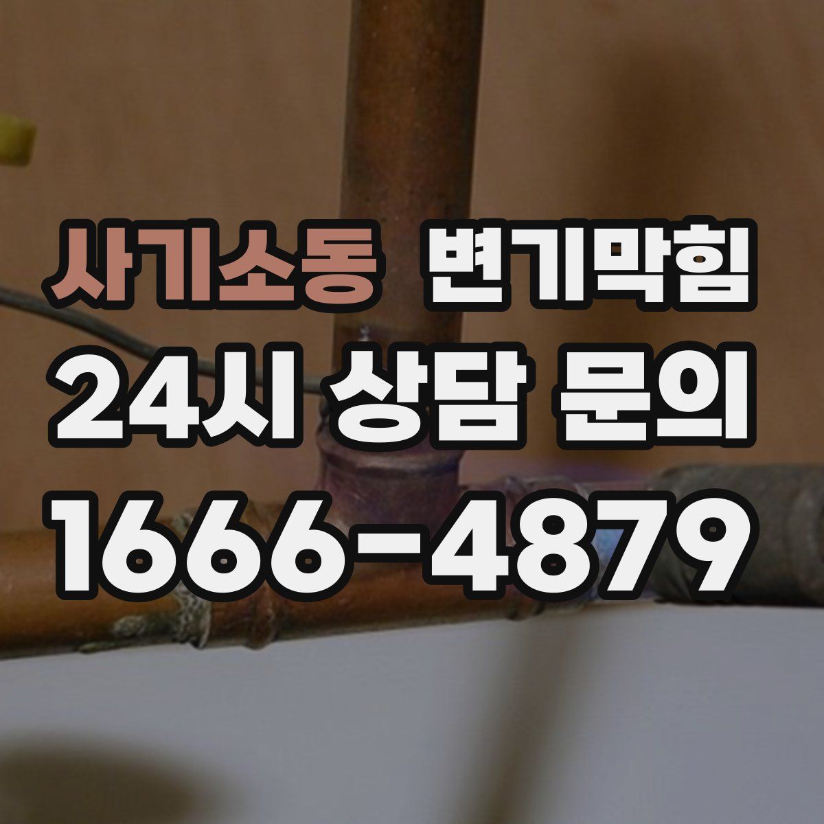 사기소동 변기막힘
