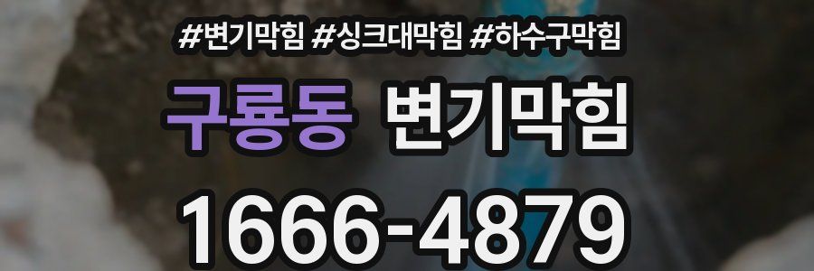 변기막힘