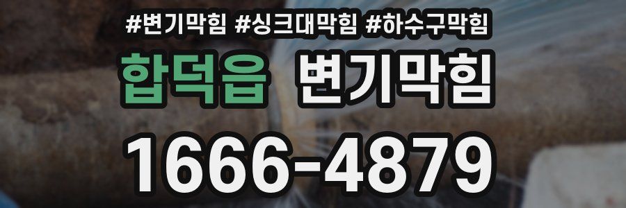 변기막힘