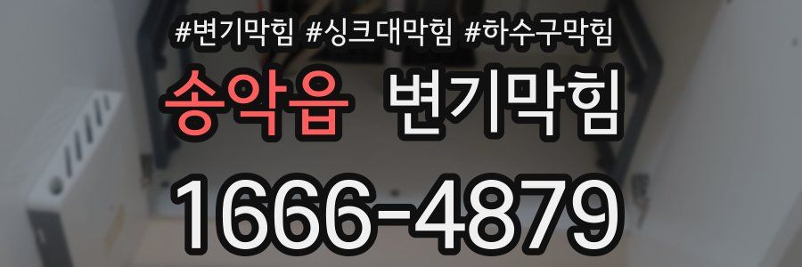 변기막힘