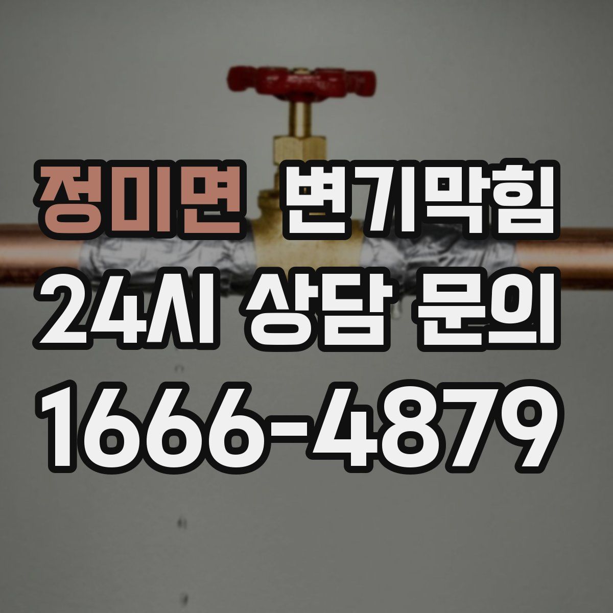 정미면 변기막힘
