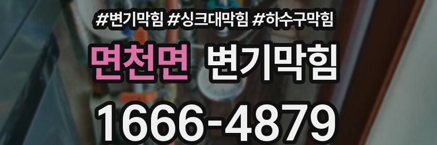 변기막힘