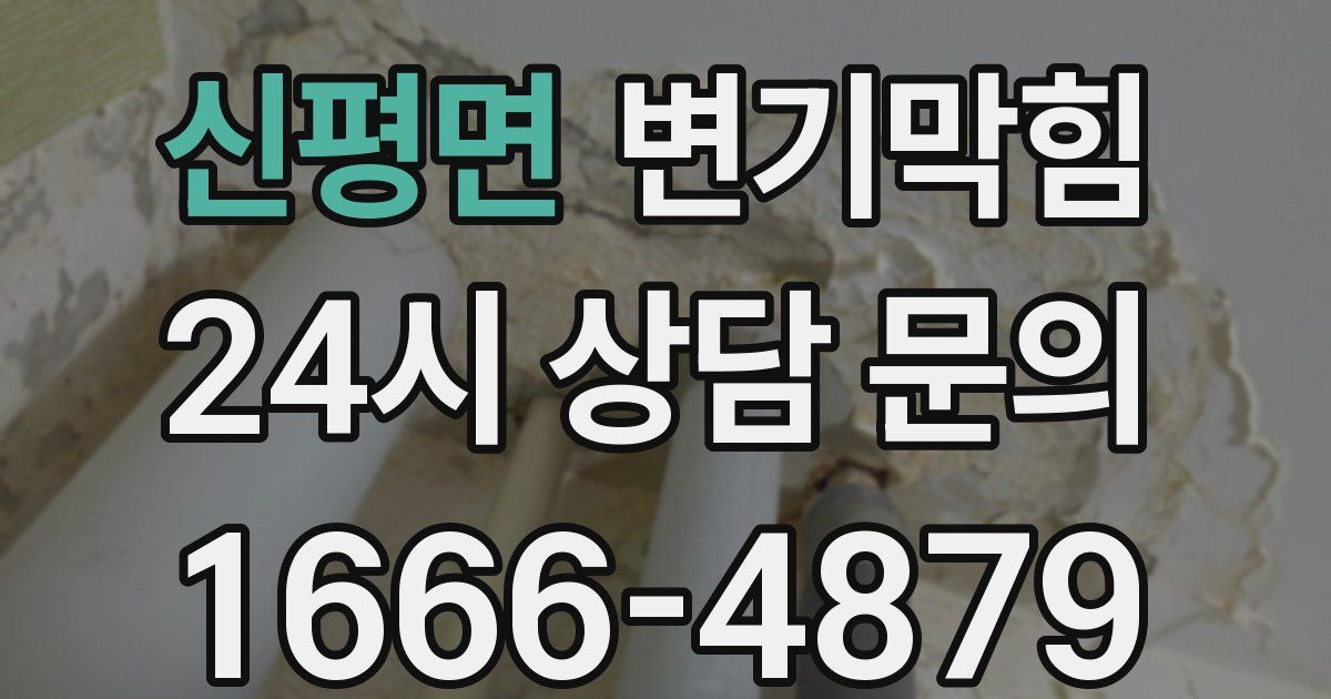 신평면 변기