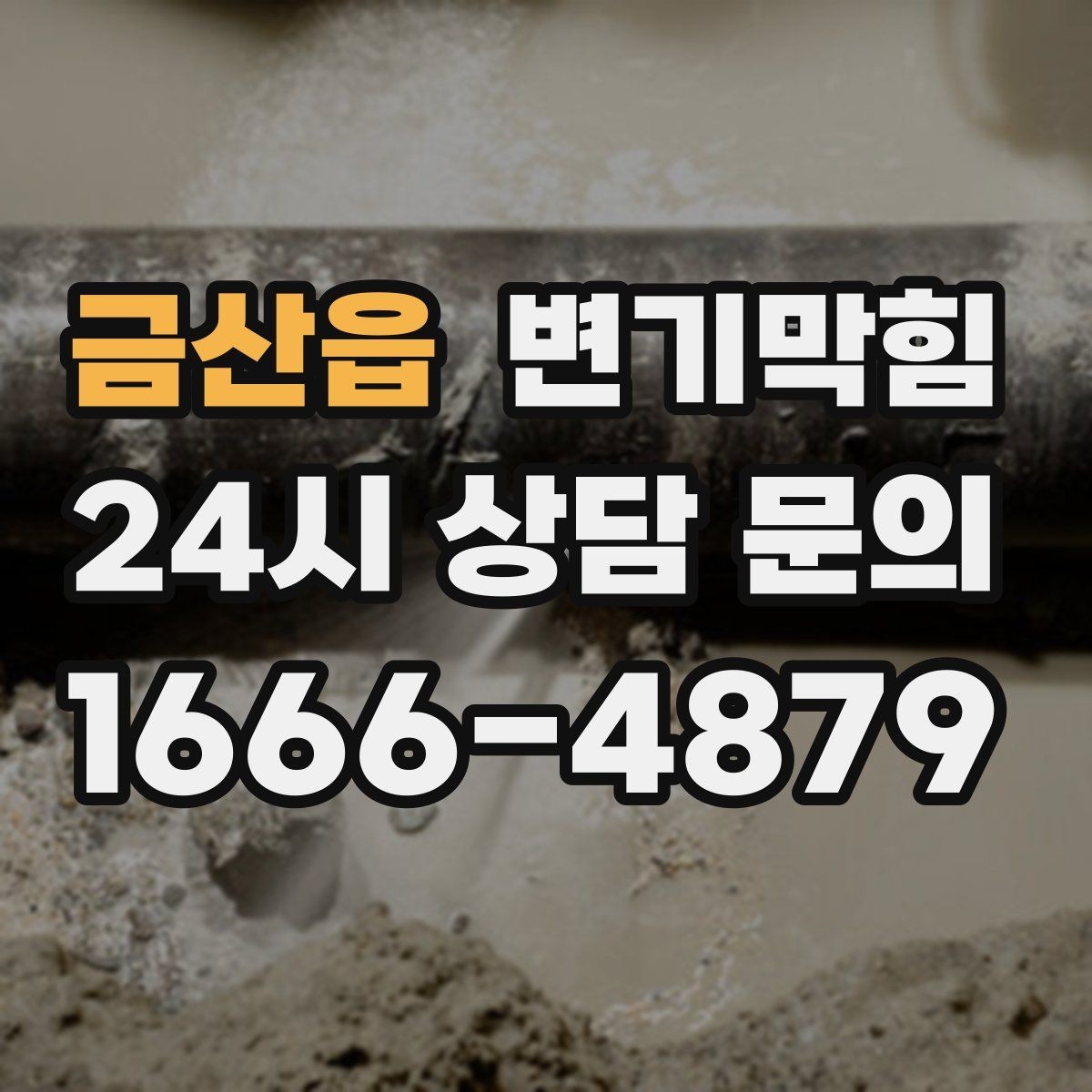 금산읍 변기막힘 단독 내시경으로 이물 바로 회수
