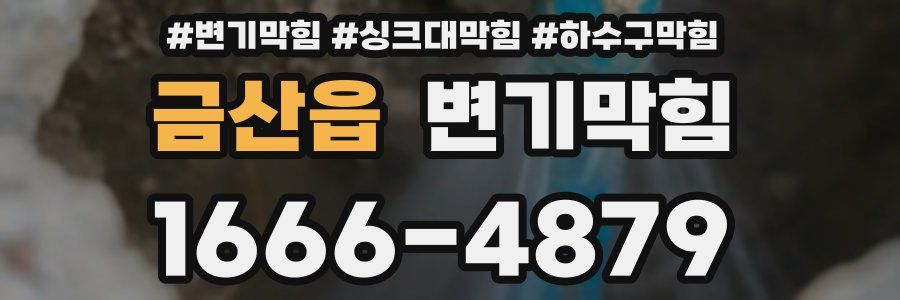 변기막힘