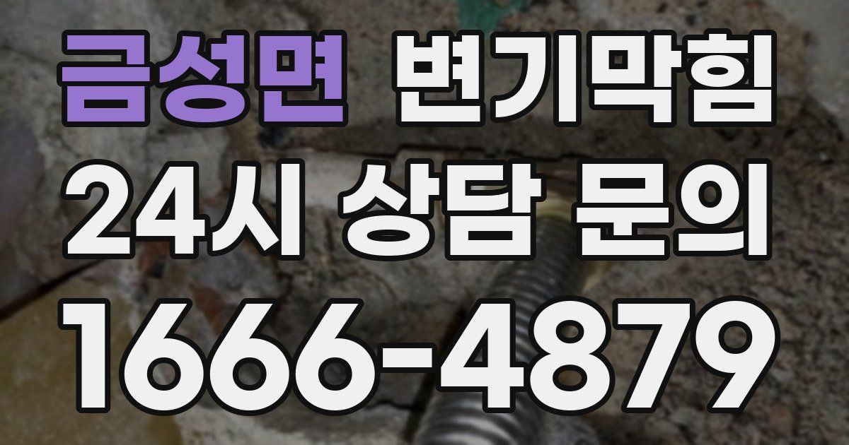 금성면 변기