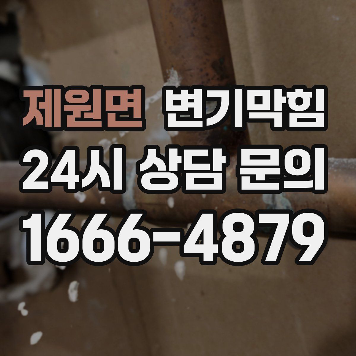 제원면 변기막힘