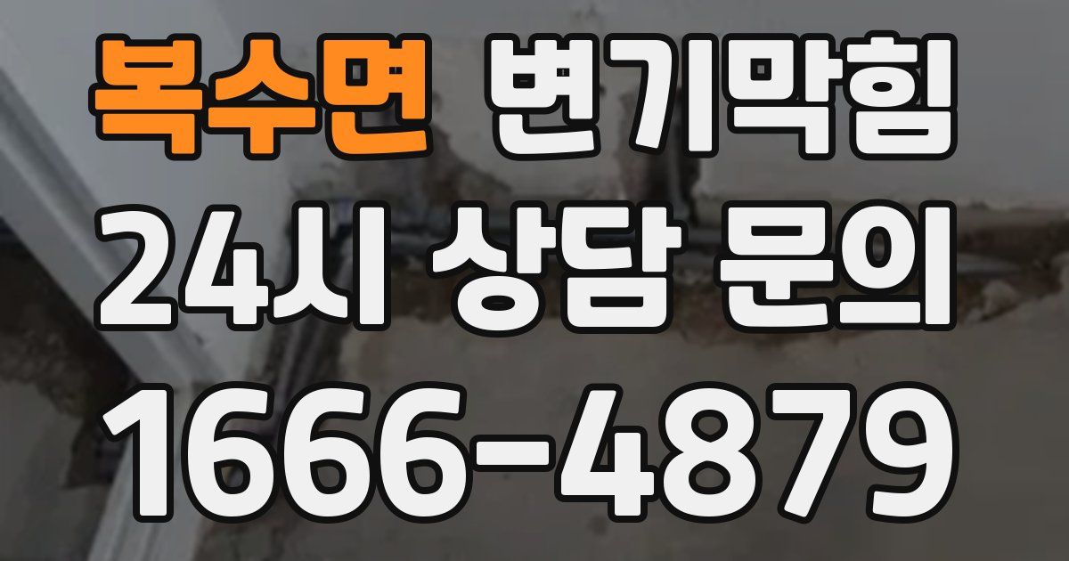 복수면 변기