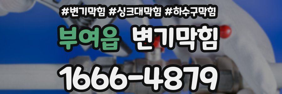 변기막힘