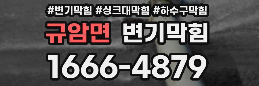 변기막힘