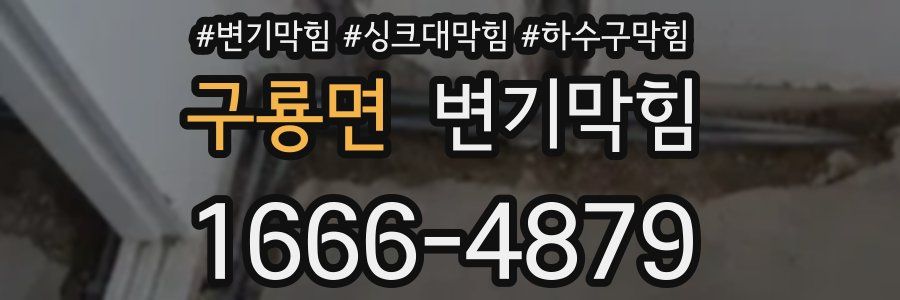 변기막힘
