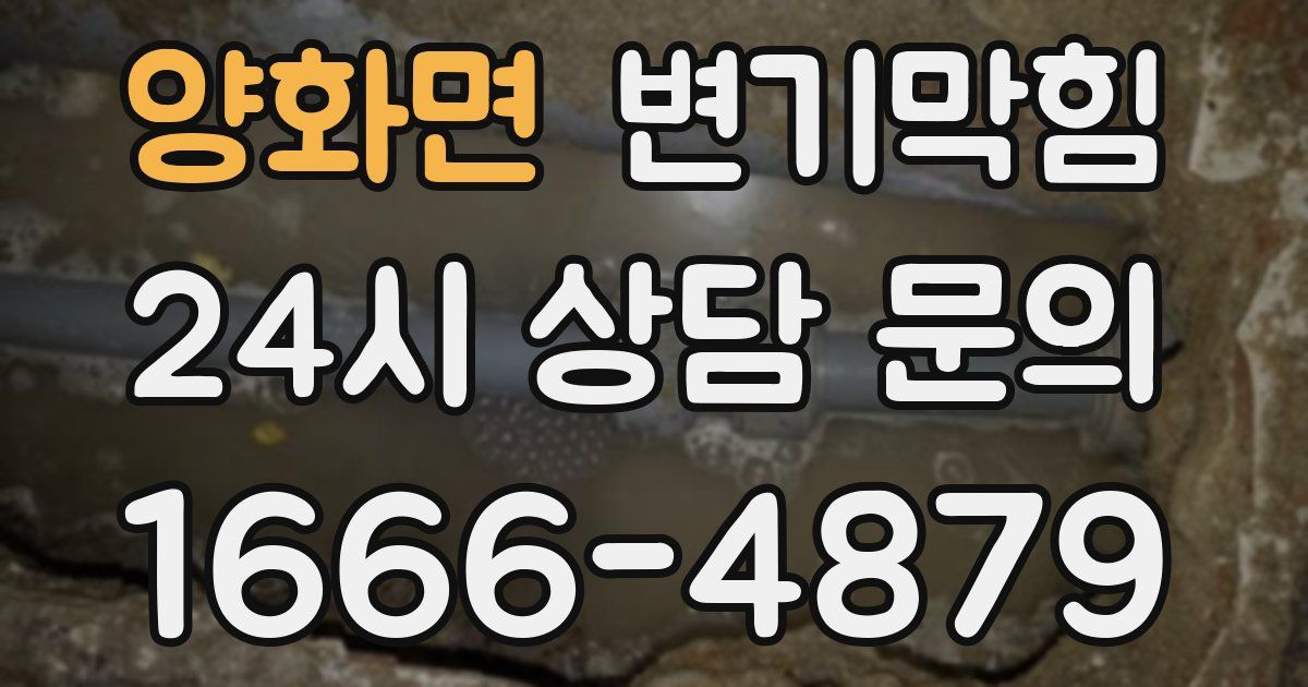 양화면 변기