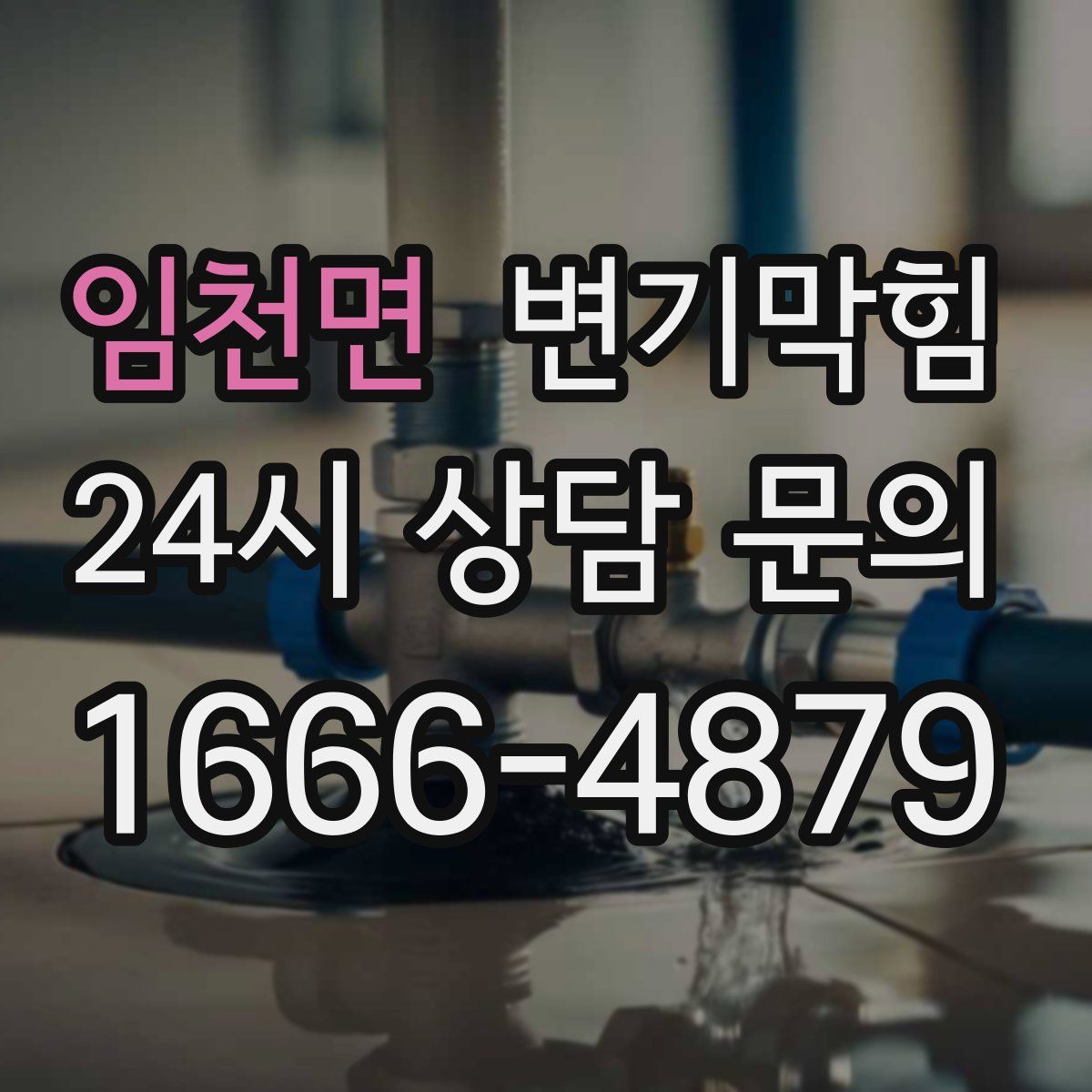 임천면 변기막힘