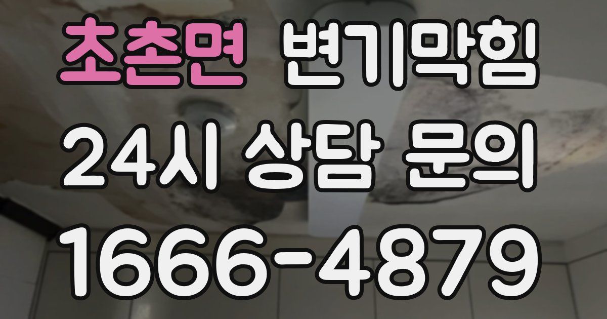 초촌면 변기