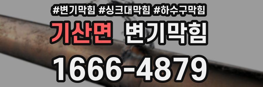 변기막힘