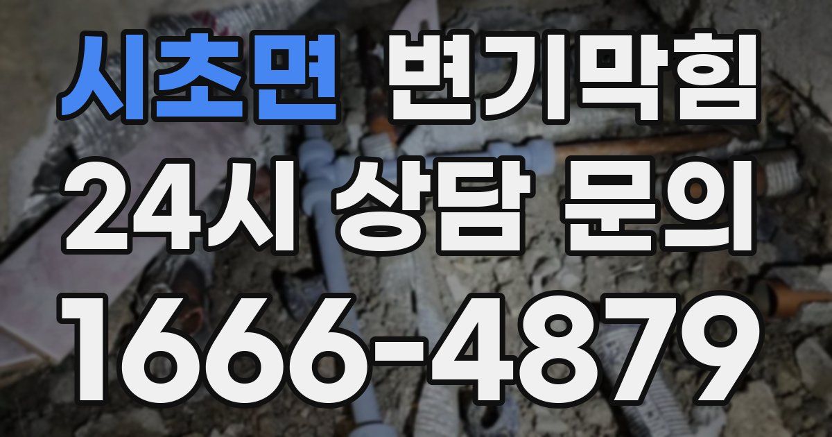시초면 변기