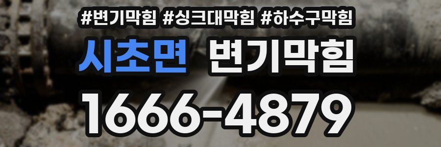 변기막힘
