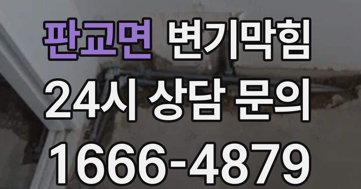 판교면 변기