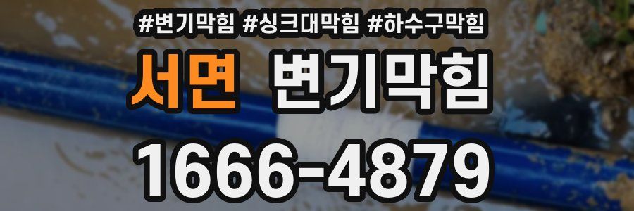 변기막힘