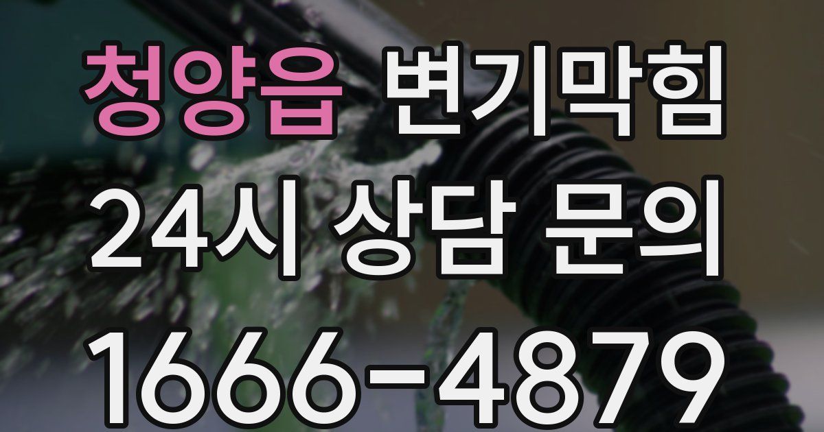 청양읍 변기