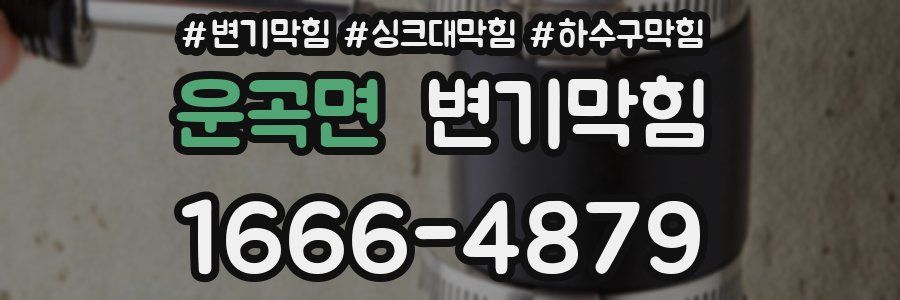 변기막힘