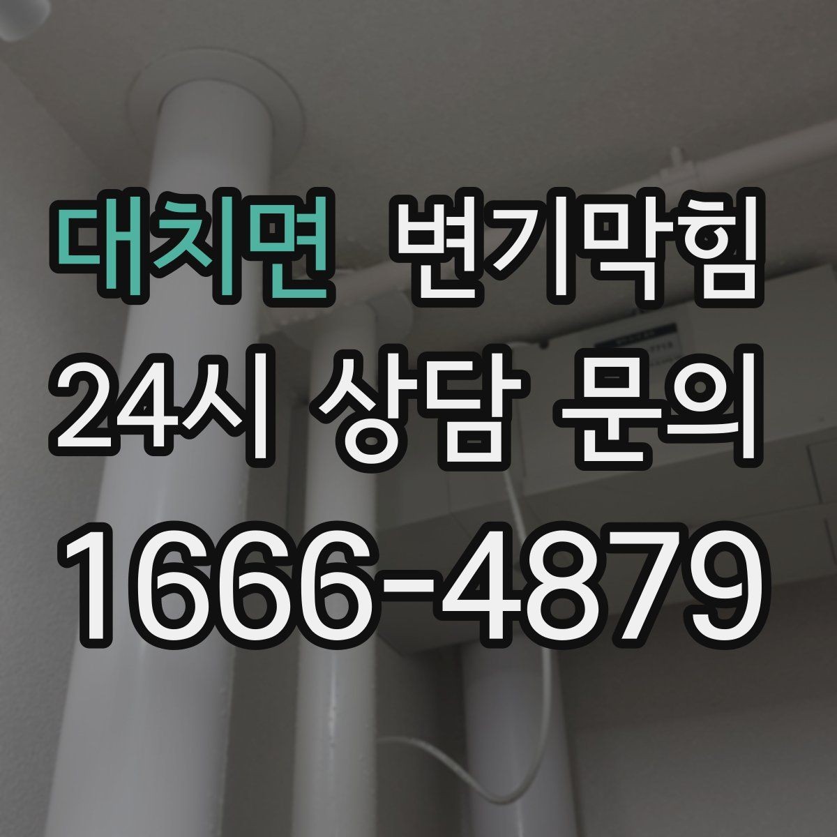 대치면 변기막힘 미용실 배수구막힘 약제 최소화 마감