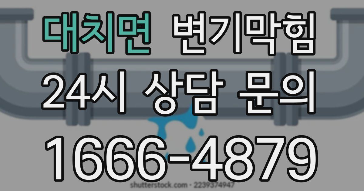 대치면 변기
